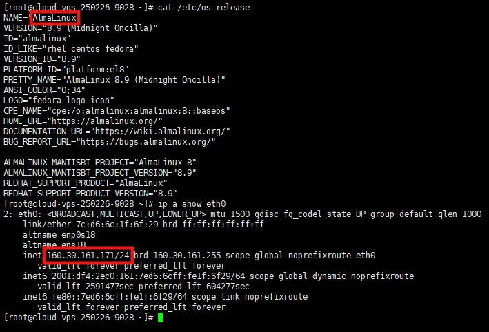 kiem-tra-bang-thong-vps-bang-iperf-nload-2