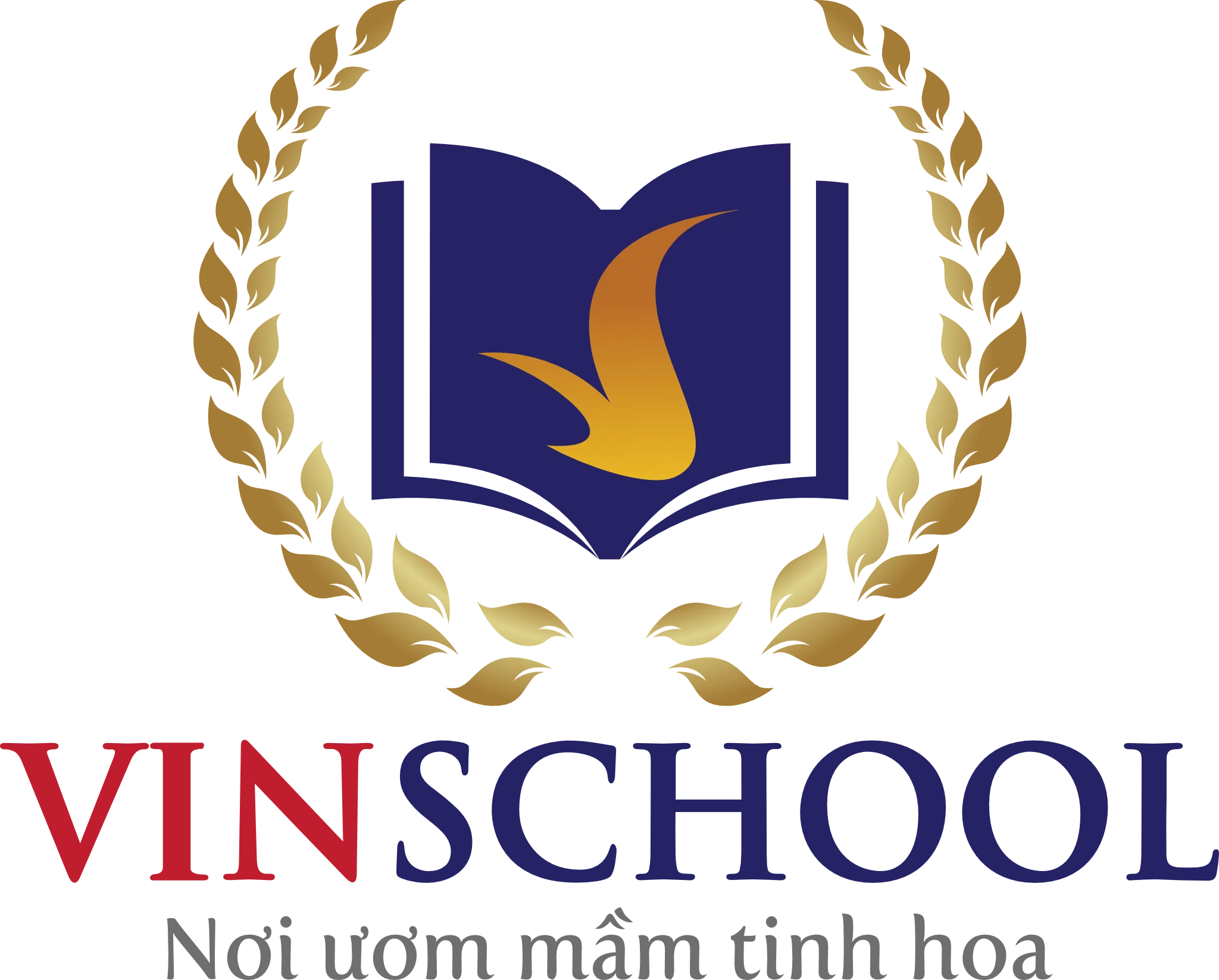 vsc