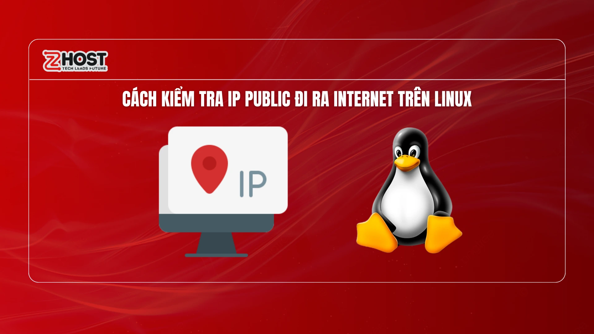 huong-dan-kiem-tra-ip-public-di-ra-internet-tren-linux