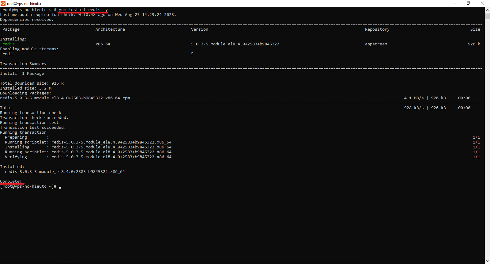 huong-dan-cai-dat-redis-tren-directadmin-va-tich-hop-voi-website-1