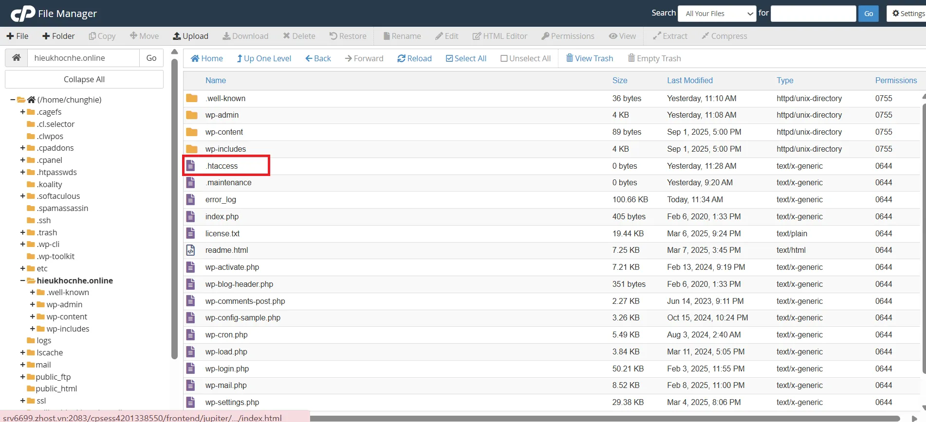 Hướng Dẫn Bật CORS Trên Hosting cPanel ảnh 4