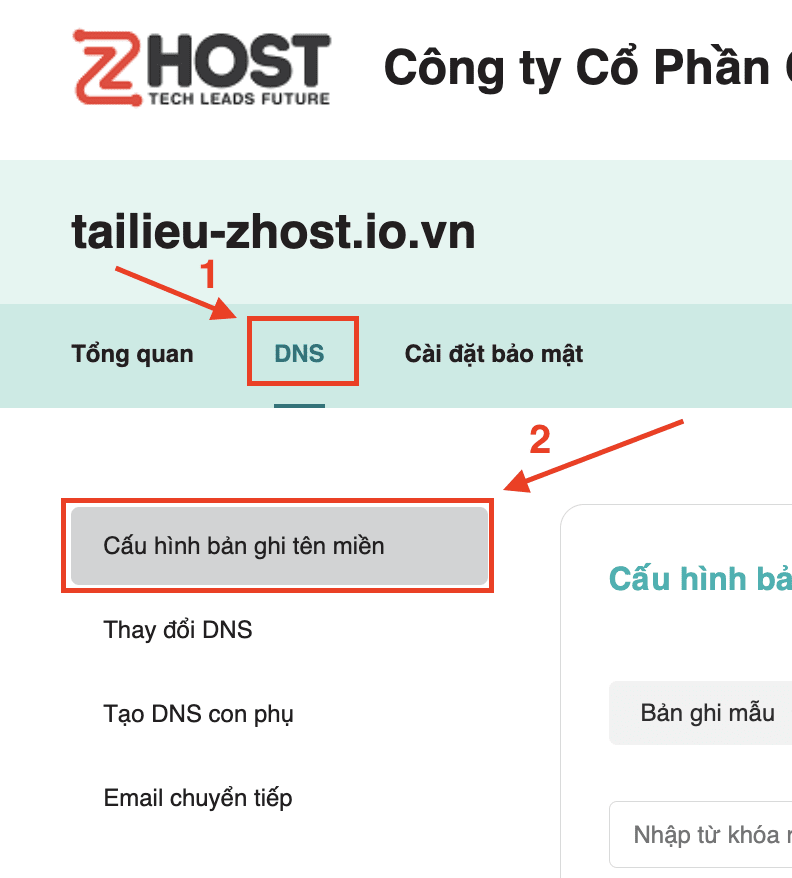 Cấu hình DNS tên miền - truy cập tab DNS trong bảng điều khiển Zhost