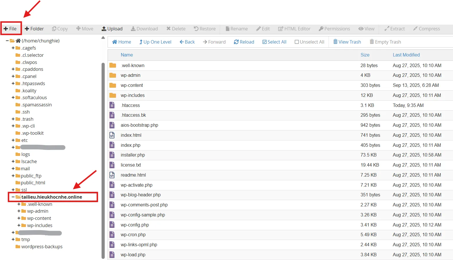 Hướng Dẫn Sử Dụng MultiPHP Manager Trên Hosting cPanel h5