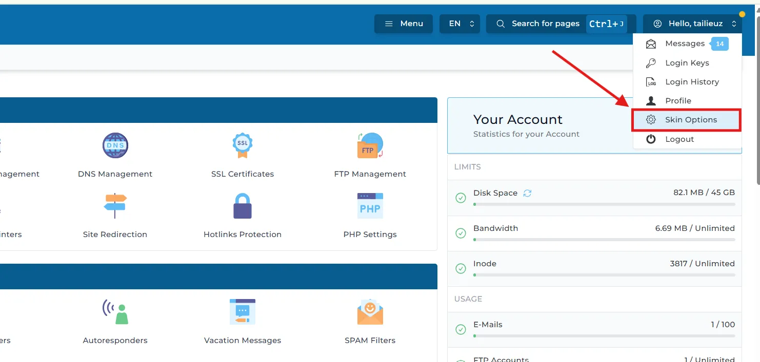 Hướng Dẫn Thay Đổi Giao Diện Trên Direct Admin h1