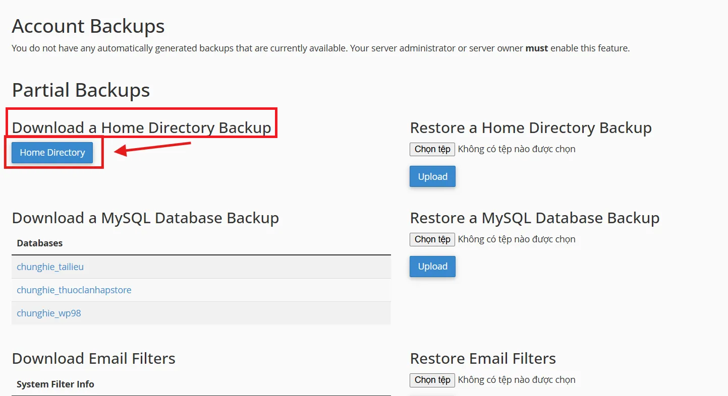 Hướng dẫn backup dữ liệu trên hosting cPanel h7