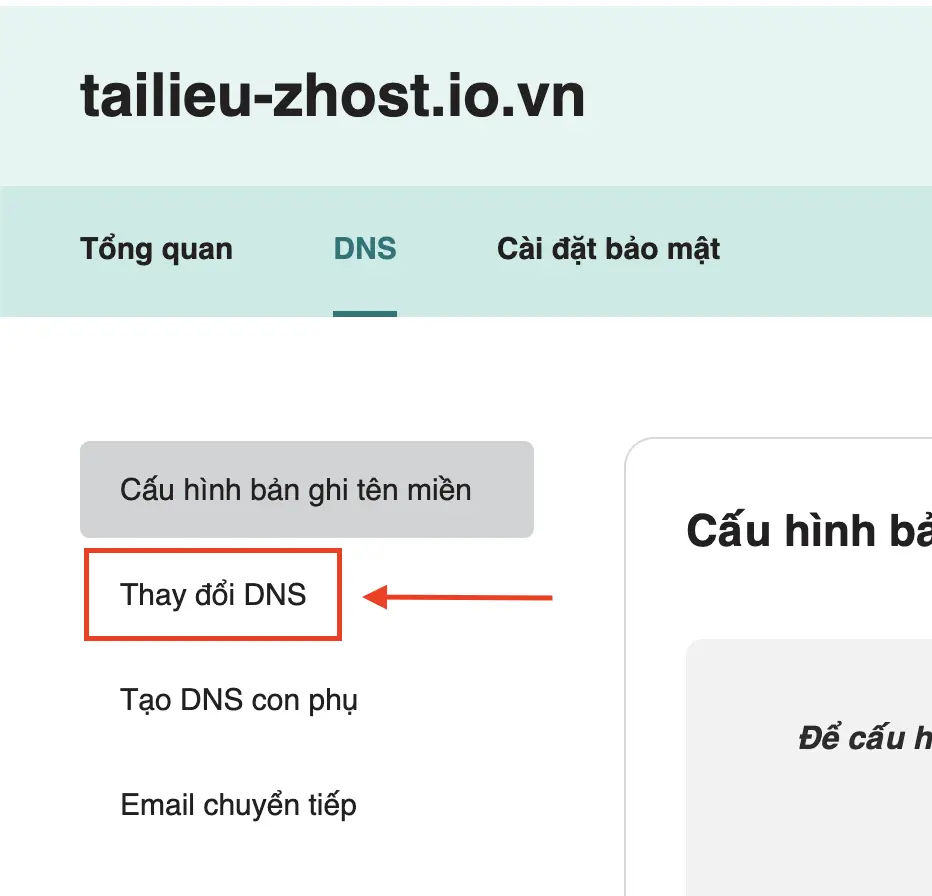 Hướng dẫn cập nhật NameServer mặc định tại Zhost