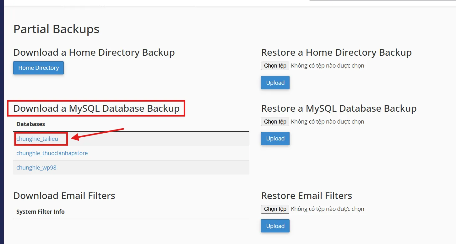 h8Hướng dẫn backup dữ liệu trên hosting cPanel h8