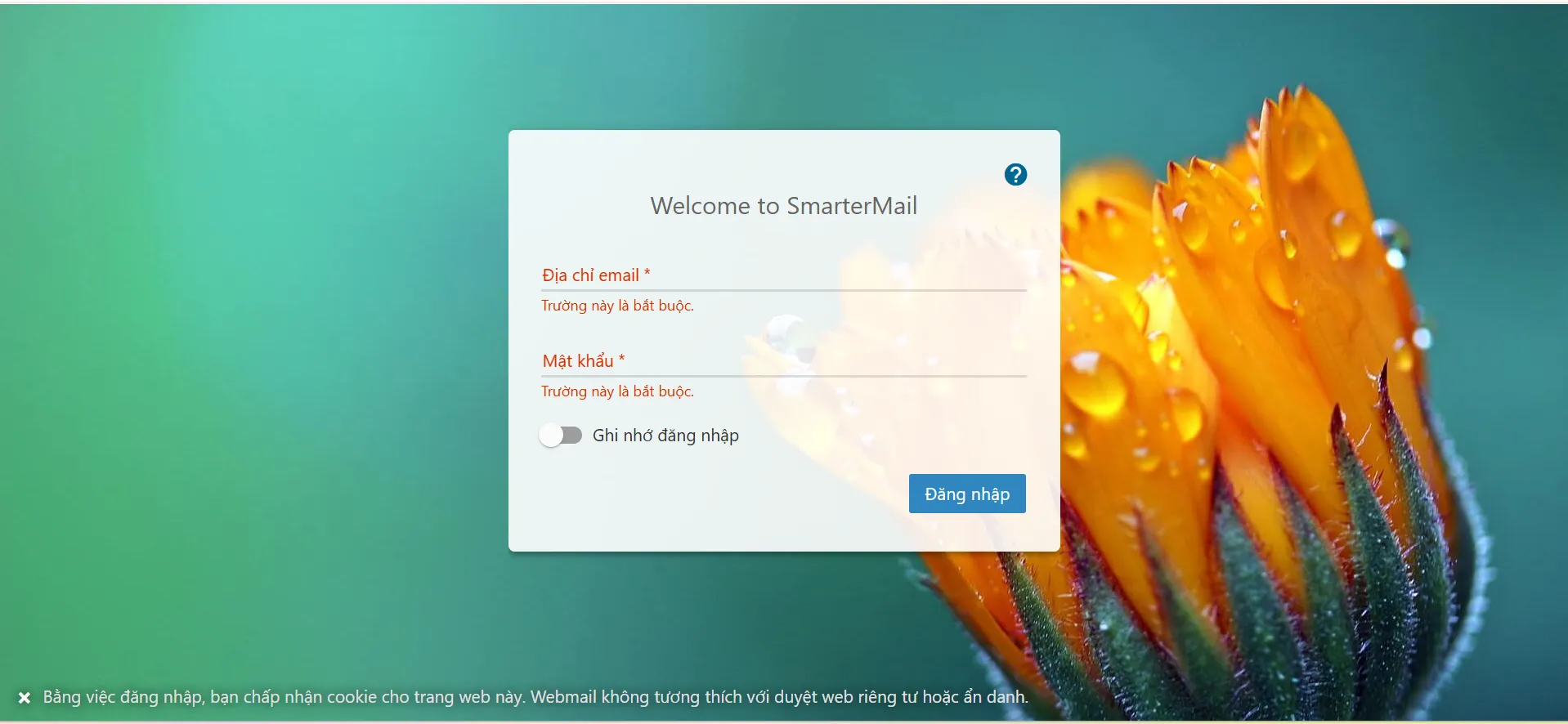 Hướng Dẫn Chuyển Dữ Liệu Từ Hệ Thống Khác Sang Email Business ảnh 1