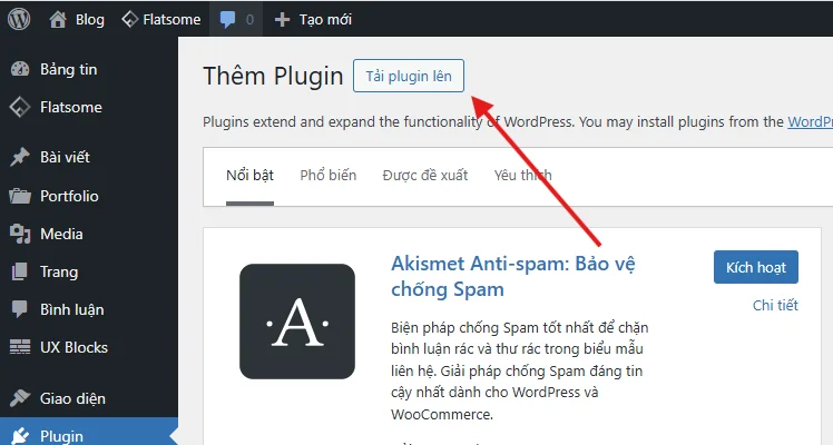 cai-theme-plugin-wordpress-tren-hosting-student-12