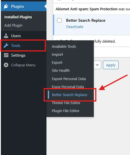 Better Search Replace WordPress truy cập tool