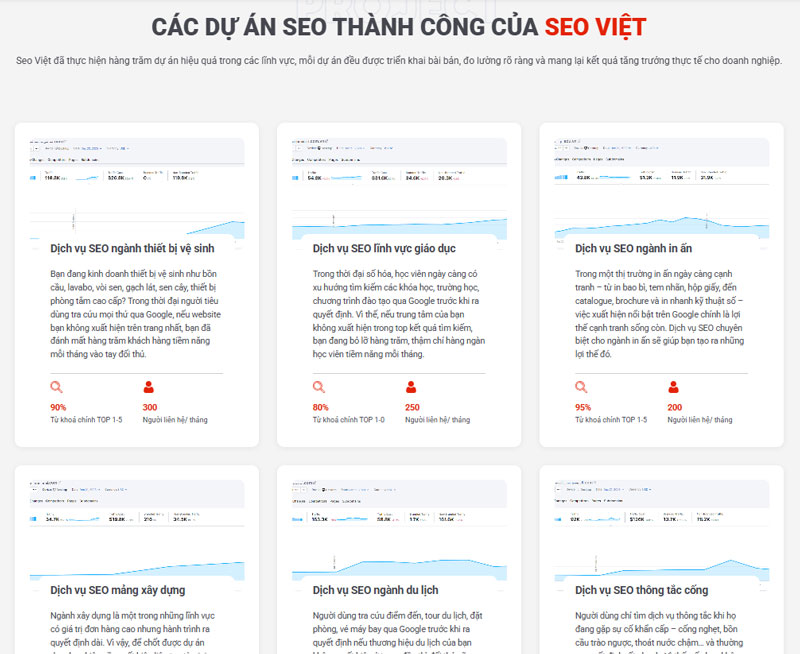 cac-du-an-seo-viet-da-trien-khai