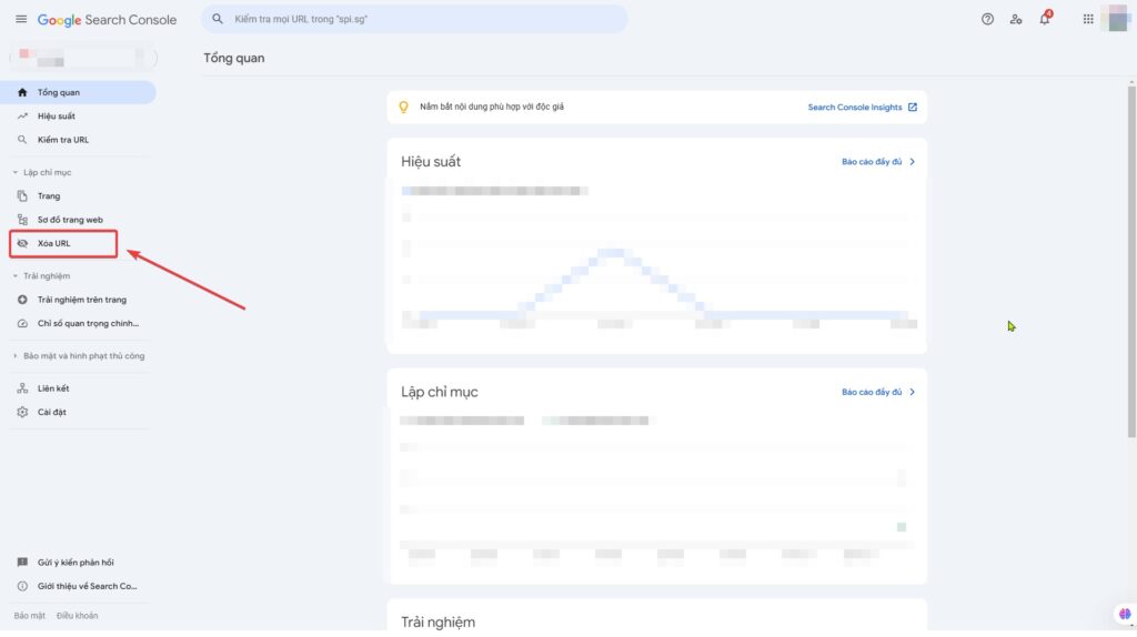 cach giai quyet tinh trang spam injection trong google search console 10627 4