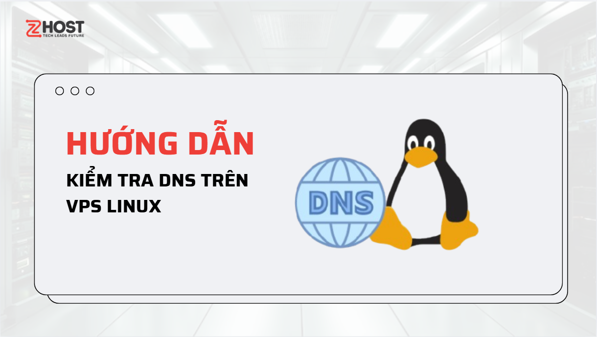 Hướng dẫn kiểm tra DNS trên VPS Linux